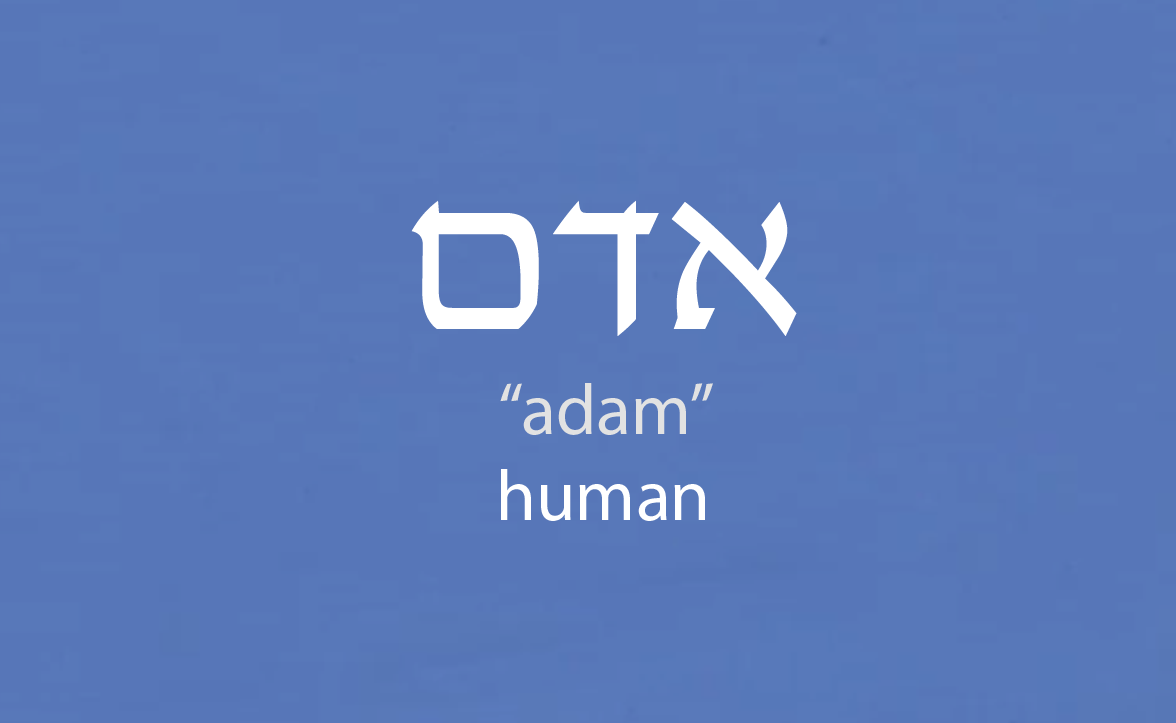 Hebrew Word Adam