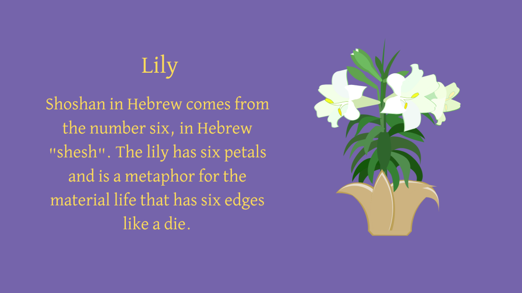 The Lily As A Metaphor Bible Stories As Blueprints of the Soul