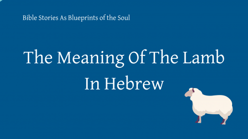 Hebrew Word Meaning Lamb