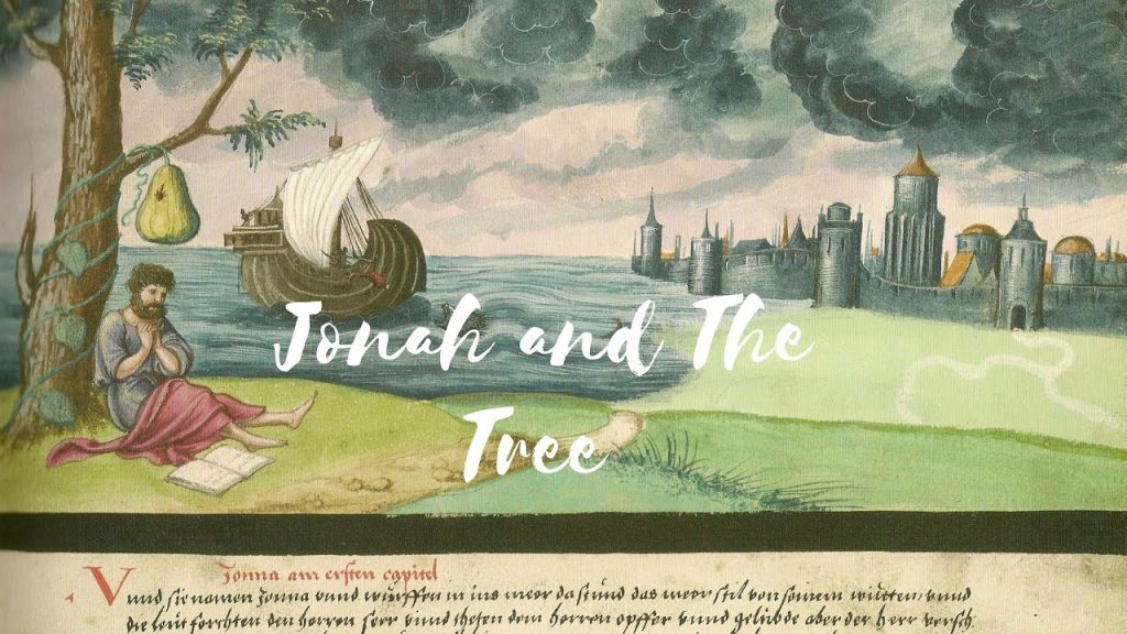 Jonah and the Tree Biblical Hebrew Beyond Time & Space Bible Stories