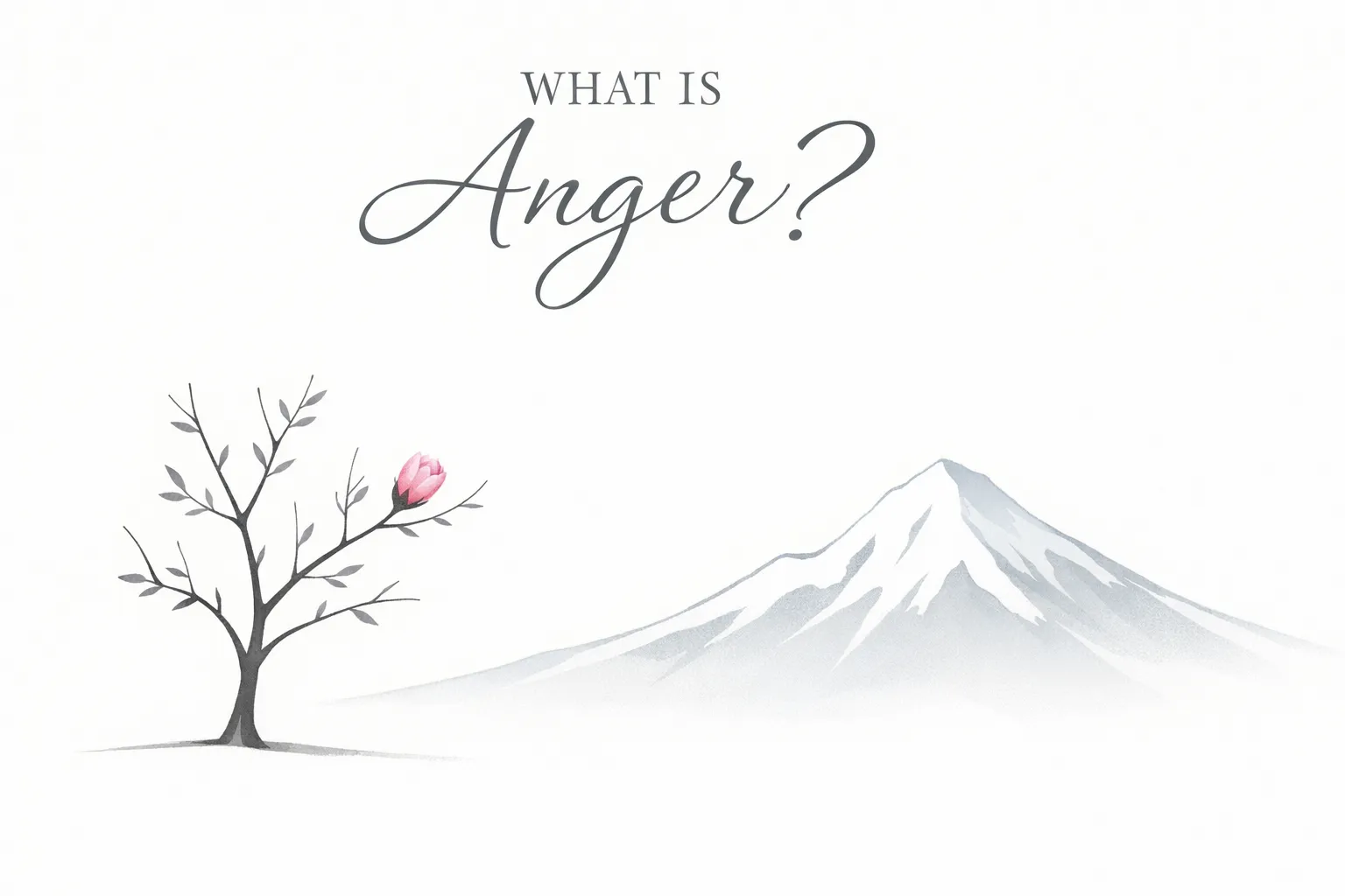 What Is Anger? What Is Anger?